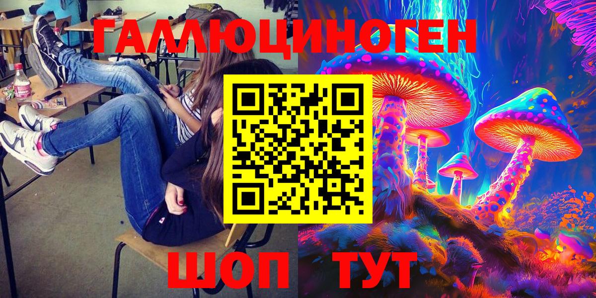 Галлюциногенные грибы Psilocybine cubensis Сегежа