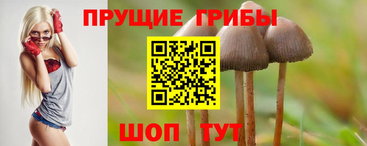 Cocaine  Вход с VPN  Сегежа  Гашиш  Бошки Шишки  Мефедрон   МЕТАМФЕТАМИН 